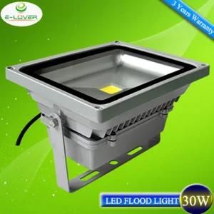 30W IP65 High Lumens Epistar COB Flood LED Lights