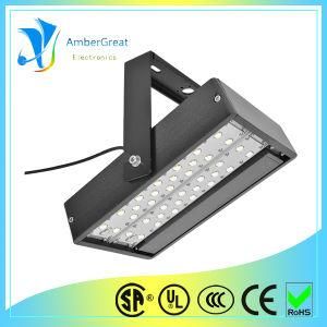 61W IP67 LED Flood Light (AG-F036-L6)