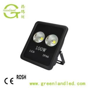 100W Best Outdoor Spotlight IP66 LED Flood Light