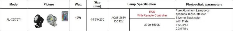 DC12V or AC220-240V 12W LED Outdoor Garden Light