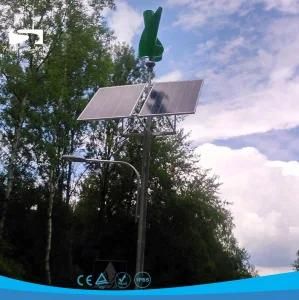 MPPT Controller Single Lamp Wind Solar Hybrid LED Street Lighting