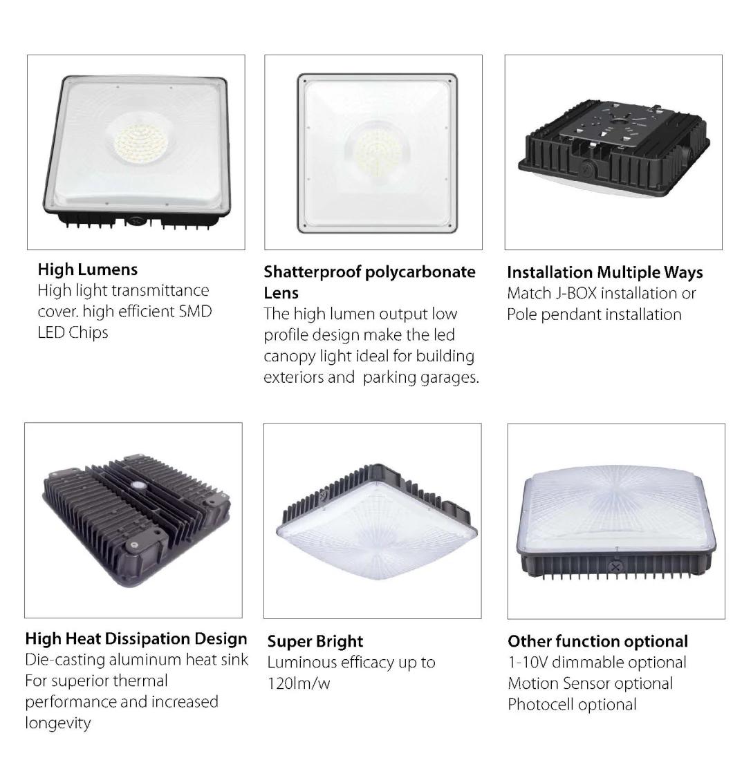 High Quality Explosive-Proof Recessed Canopy Light Fixtures 50W
