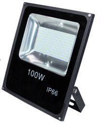 LED Floodlight 100W SMD Flood Light