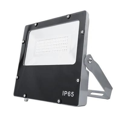 High Brightness AC LED Flood Light Adjustable 100W LED Spot Light with CE RoHS Certification