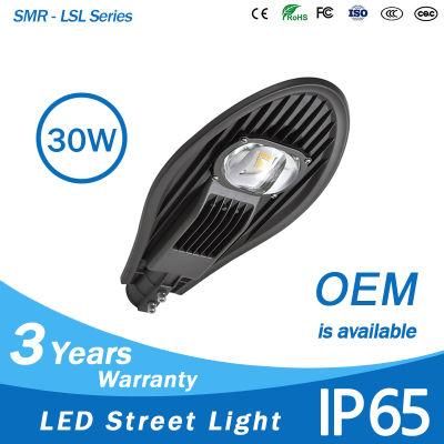 High Quality Low Price IP65 30W COB LED Street Light