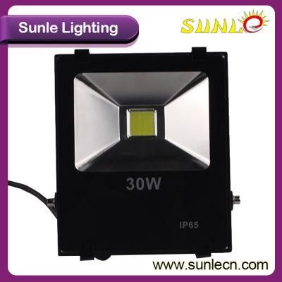 Warm White 30 Watt Outdoor LED Flood Light (SLFI COB 30W)