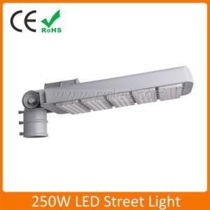 High Bright 250W Waterproof IP65 Street Light LED