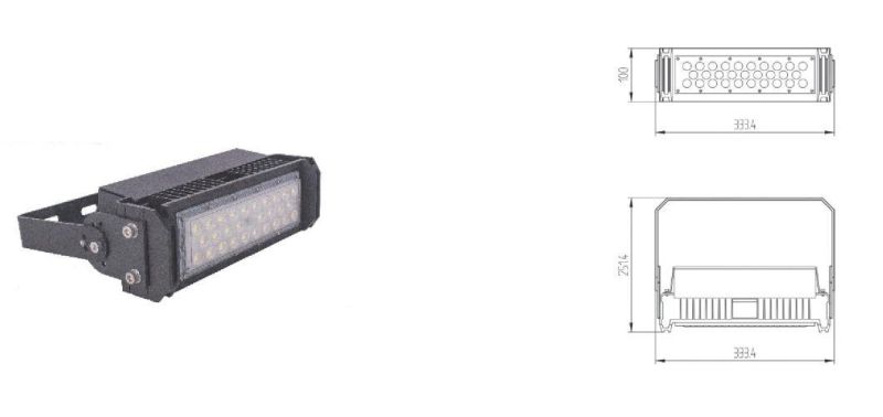 100W CE RoHS Outdoor IP66 High Light Efficiency LED Flood Light Flood Lamp LED Floodlight