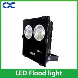 100W Best Outdoor Spotlight Flood Lighting IP66 LED Flood Light