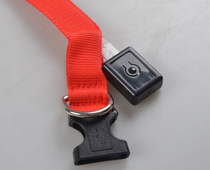 S M L Pet Dog Cat Anti Lost LED Necklace Safe Warning Flash Necklet Light Lock