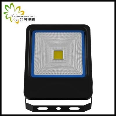 2019 Newest 5 Years Warranty LED 30W Flood Lighting with COB Chips
