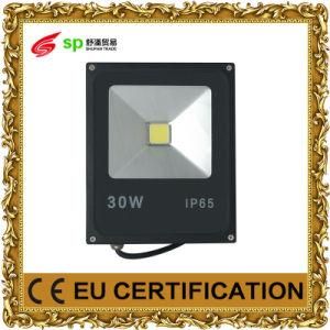 Energy Saving 30W LED Floodlight for LED Outdoor Lighting