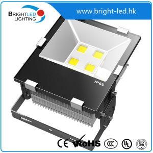 100W 200W COB Chip Outdoor LED Flood Light