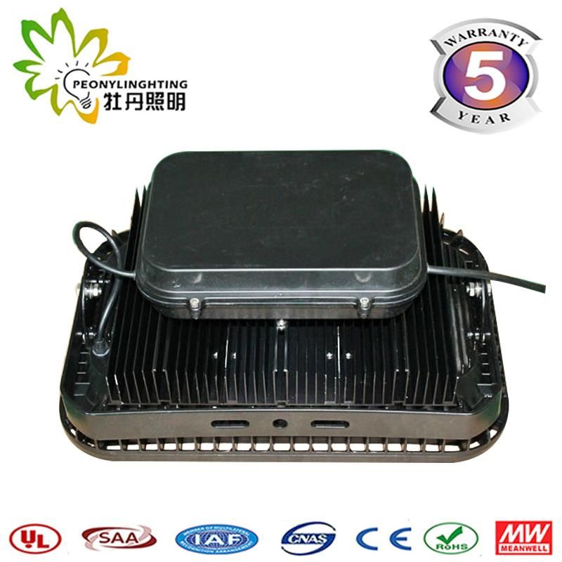 100W Classical IP67 LED Flood Light with Good Quality COB Chips Flood Lights