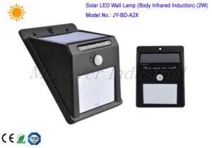 2W Solar Power Inductive LED Solar Light IP65