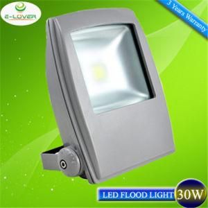 IP65 Warm White/Pure White/Cool White 30W LED Flood Light