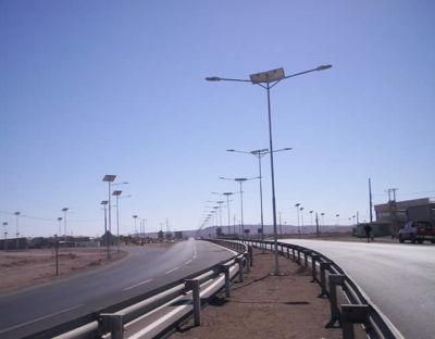 LED Street Light with 2 Lamps