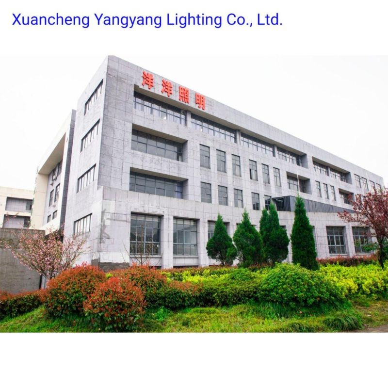 LED Floodlight with PIR Motion Sensor 100W LED Outdoor Lighting