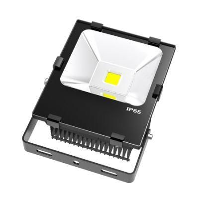 Solar Power Dual Outdoor 50W LED Floodlight for Garden