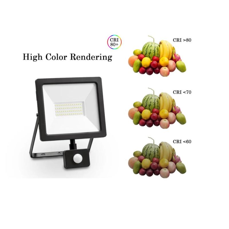 China Factory LED Outdoor Flood Light 30W Waterproof IP54 LED Floodlight for Square Lighting