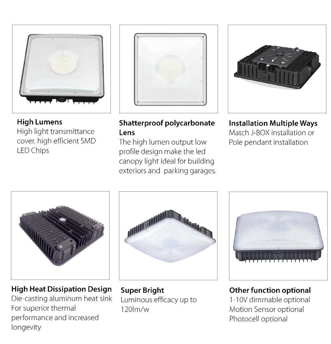 Surface Mount Canopy Light High Quality 5 Years Warranty Gas Station LED Canopy Lights 100W