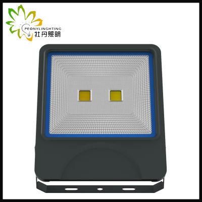 2019 Newest 5 Years Warranty LED 100W Flood Lighting with COB Chips