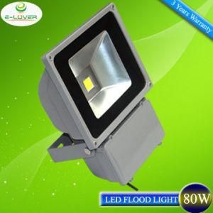 Epistar Chips + Meanwell Driver 80W LED Floodlight