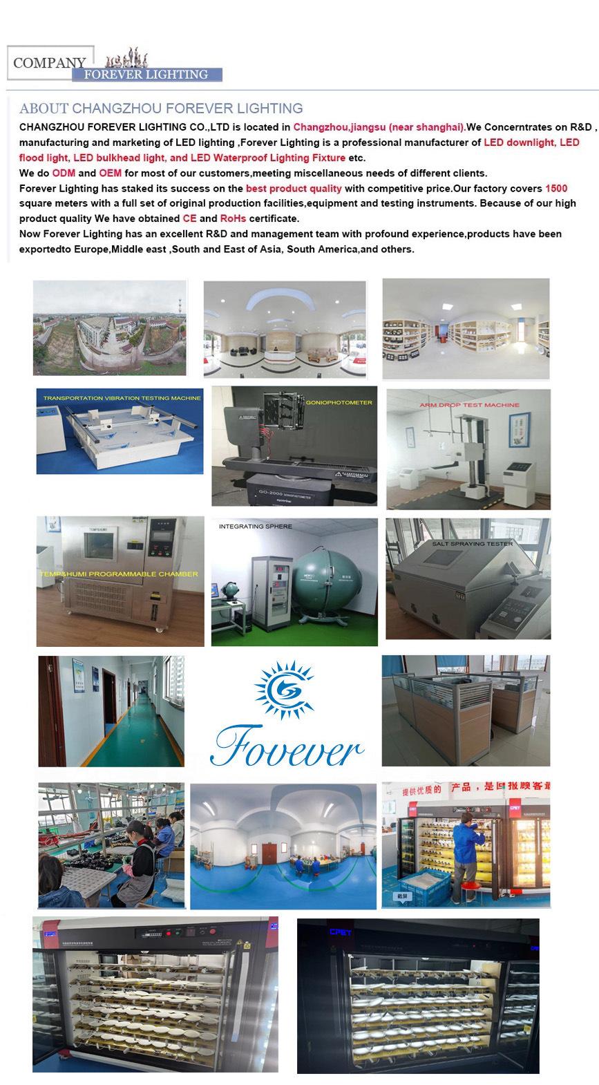 3000K/4000K/6000K Commercial LED Lighting Floodlight 10W 20W 30W 50W Outdoor Lighting LED Flood Light with Li-ion Battery