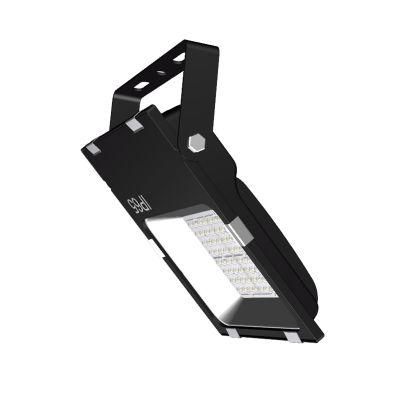 Input Voltage 100-277VAC / 90-305V /180-528valuminum Alloy Die Casting 100W LED Floodlight for Agriculture Lighting Floodlight LED 12V 24V 32V