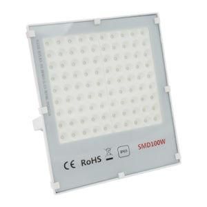 Customized Commercial Lighting 100W Flood Lighting LED Light Spotlight