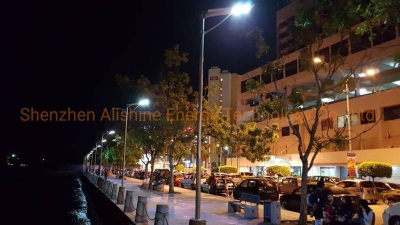 High Brightness 30W Solar Street Lamp LED Garden Lighting