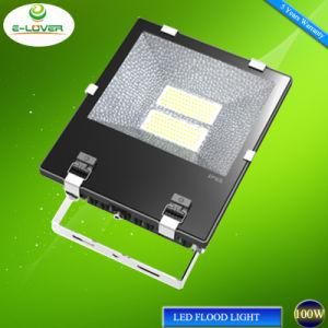 CREE Chips + Meanwell Driver 5 Years Warranty LED Flood Light