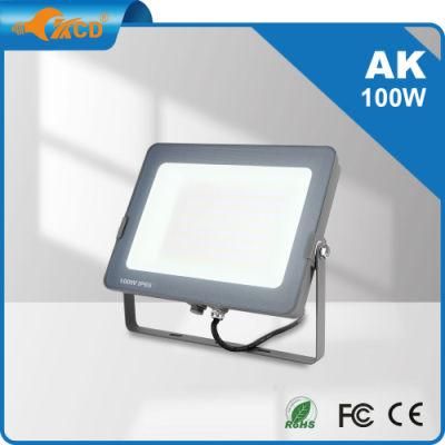 Smart 100W LED Garden Light Pole/Highway Floodlight Security Outside Low Voltage Color Flood Light