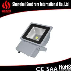 100W COB LED Spotlight LED Flood Light