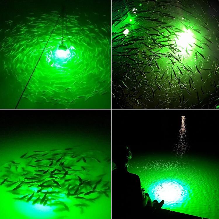 2000watt LED Fishing Lights Green LED Underwater Fishing Light AC 220V-240V