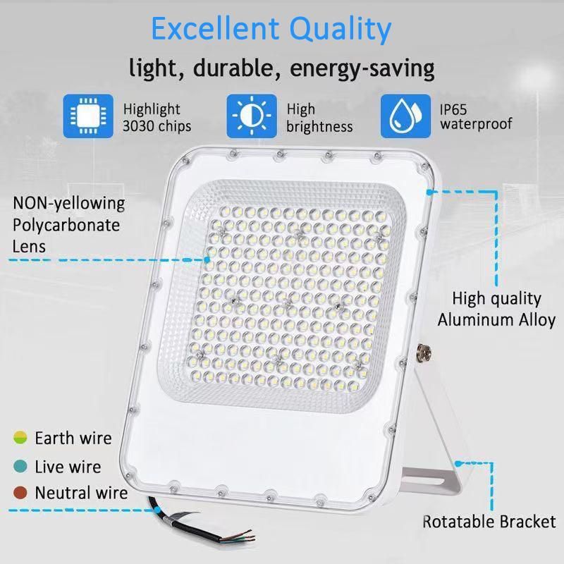 Ecomonical 50W 100W 150W LED Floodlight IP65 Outdoor Fixtures 200 300 400 500 600 Watts COB LED Flood Lights