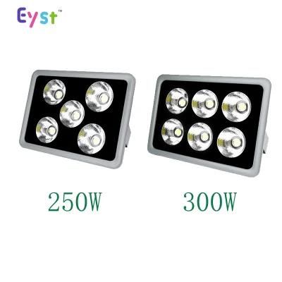 LED Garden Outdoor Spot Light of High Power COB 250W LED Flood Light