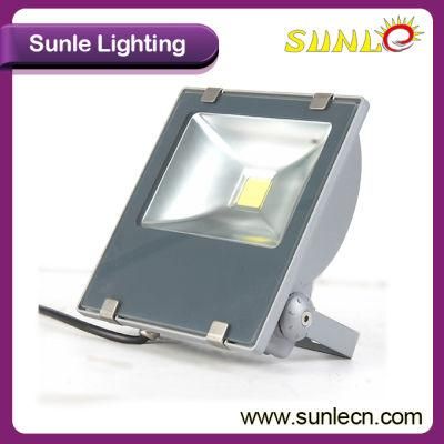 30W Spot Lights Security Outside Flood Lights LED (SLFP13 30W)