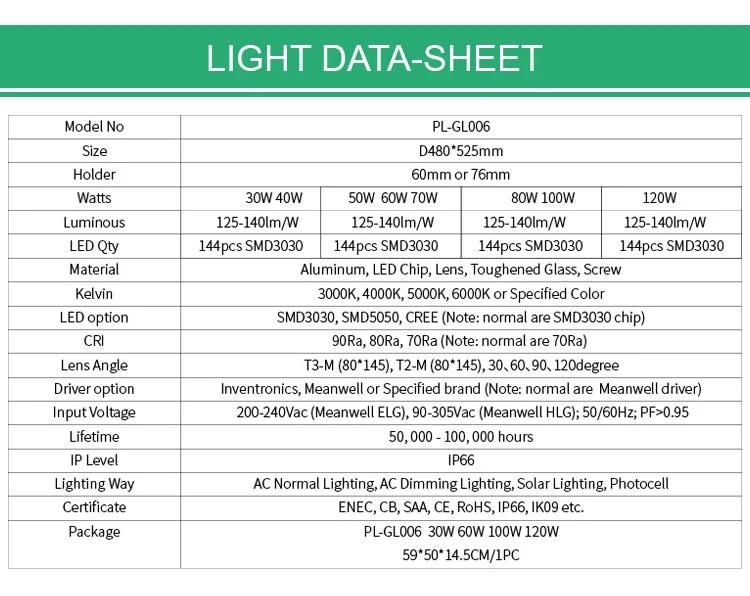 High Quality 100W Outdoor IP66 LED Garden Light