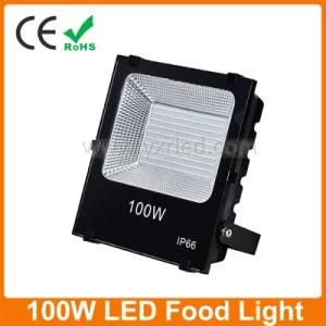 LED Spot Lamp 100W