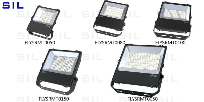 Hot Sales Cheap Price IP65 Flood Light 50W 80W 150W 200W Court Light LED Flood Lighting