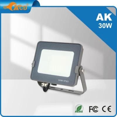 Hot Selling Sports Lighting Aluminum Housing IP65 30 Watt 12 Volt LED Floodlight Brightness Outdoor