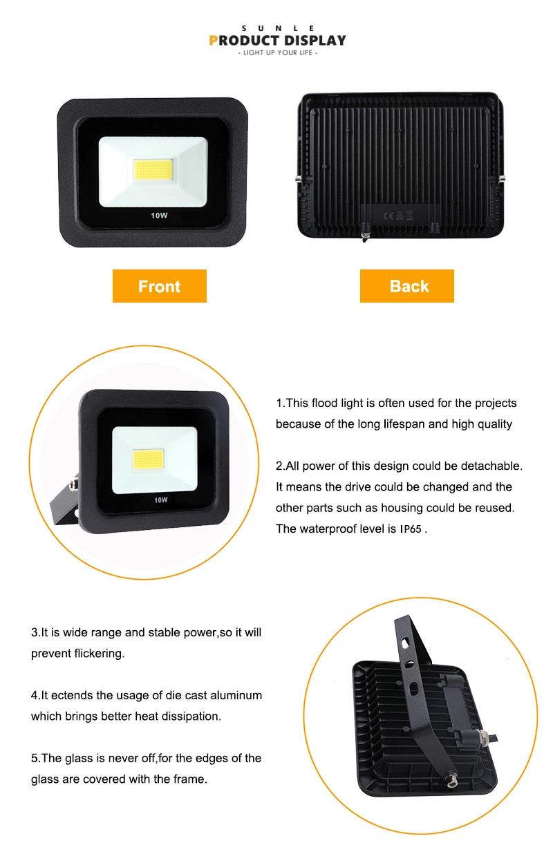 Professional IP65 Waterproof RGB10W COB LED Flood Light