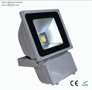 High Power 100W Outdoor LED Floodlight with CE and RoHS