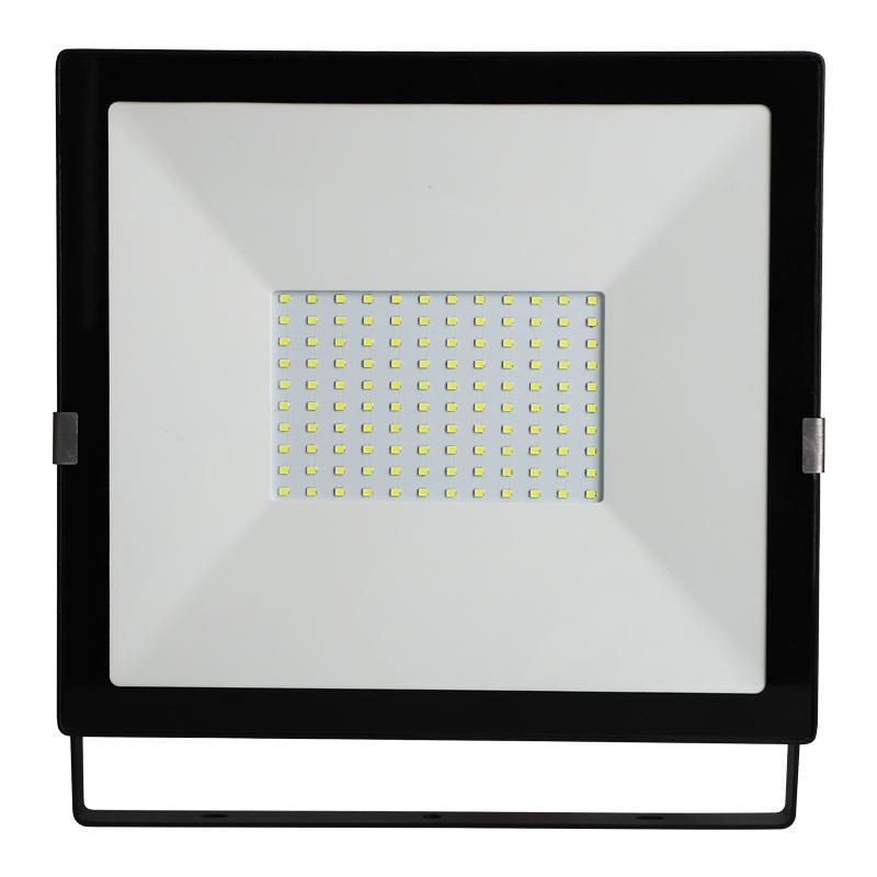 IP 65 Non-Isolated Driver LED Outdoor Floodlight (P61005A)