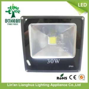 30W 3000K LED Lamp Flood Light