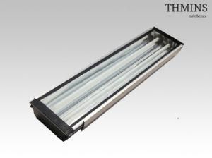 T8 20W Fluorescent Tunnel Light THMINS (TL009-F2*20w)