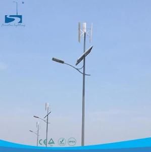 100W Vertical Wind Solar Power LED Street Lighting System