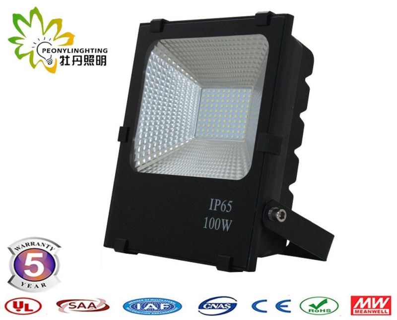 Good Quality with 5 Years Warranty 100W SMD LED Floodlights, 100W LED Floodlight