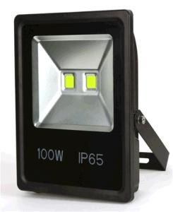 New 100W LED Food Light